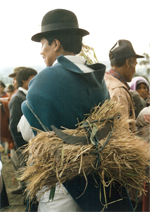 klicken zur Vergrößerung